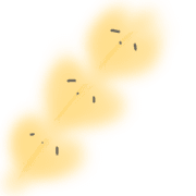 011