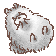 031