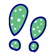 008