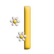 081