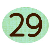 029