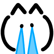 007