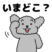 019