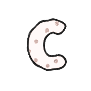 029