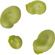 038