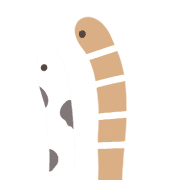 017