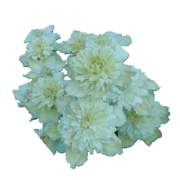 014