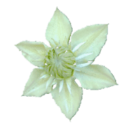 027