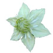 028