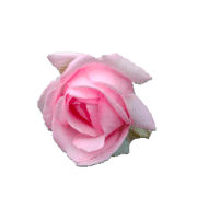 032