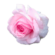 033