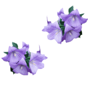 039