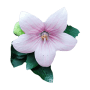 040