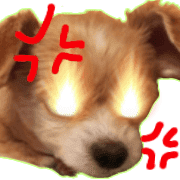 003