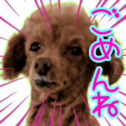 030