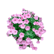 011