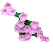 012