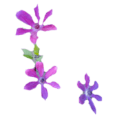 017