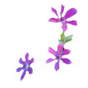 018