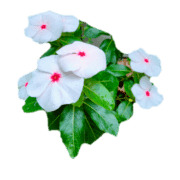 028