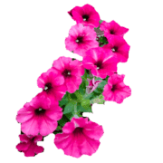 033