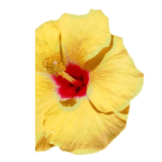 040