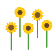 019