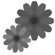 002
