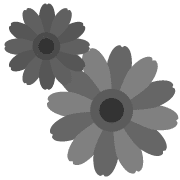 003