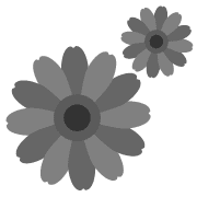 005