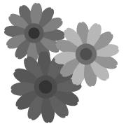 006