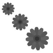 007