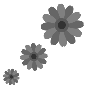 009
