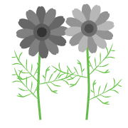 016