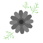 017