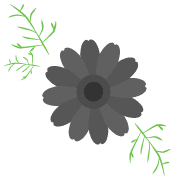 018