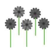 019