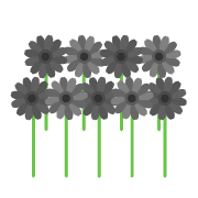 020