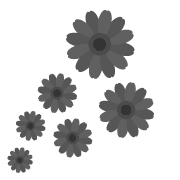 021