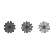 024