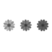 025