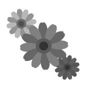 026