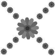 029
