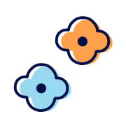 020