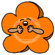 008