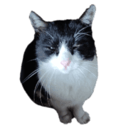 013