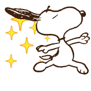 ลายที่ 11