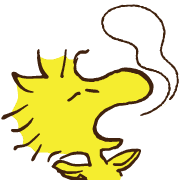 ลายที่ 55