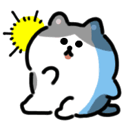 005