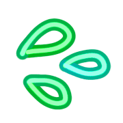 020
